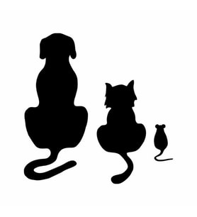 Köpek Kedi Fare Duvar Sticker Siyah 22x22 cm