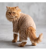 Latte Sprinkles Kedi Tulumu Pamuklu Penye Kedi Kıyafeti Küçük Irklar İçin Tüy Dökülmesini Azaltır