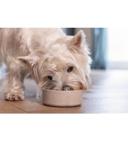 Beeztees DBL Köpek Mama Su Kabı, Bambu, Bej, 12cm, 300ml