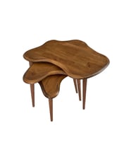 Fawdecor Asimetrik Masif Ahşap Zigon Sehpa Takımı 3'lü Set Modern Bohem Tarz Doğal Ağaç Yan Sehpa (Ceviz)