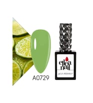 Profesyonel Kalıcı Oje 15 ml A0729
