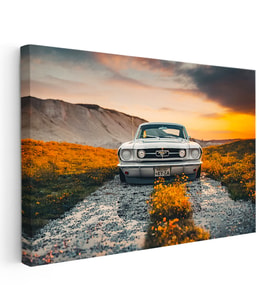 Kanvas Tablo 1966 Ford Mustang Klasik Kasa Doğa Manzarası Ford Tablosu Ev Ofis Duvar Dekoru