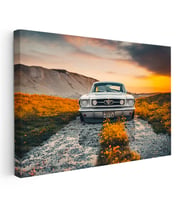 Kanvas Tablo 1966 Ford Mustang Klasik Kasa Doğa Manzarası Ford Tablosu Ev Ofis Duvar Dekoru