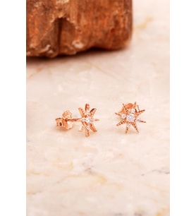 Yıldız Mini Rose Gümüş Küpe 6913