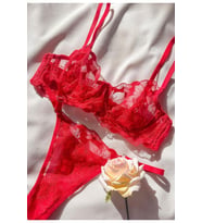 Rose Kırmızı Tanga Külotlu Sütyen Takımı