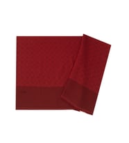 941 Aker Elegance Monogram Şal 1090100