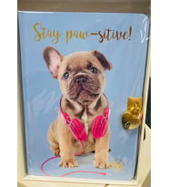 STUDİO PETS kilitli hatıra def.KÖPEKLİ-MAVİ