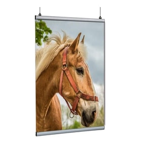 Poster Tutucu Clamp 120cm 5li Paket