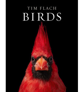Birds: Photographs (Krem)