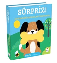 Sürpriz! - Çevremdeki Hayvanları Tanıyorum