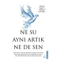 Ne Su Aynı Artık Ne de Sen