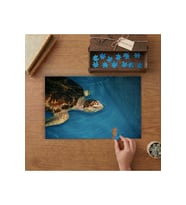 Deniz Kaplumbağası Tasarımı 240 parça Ahşap Puzzle Ahşap Kutuda MP05337