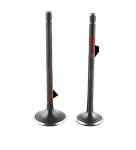 CG 200 SİBOP VTC ORJ