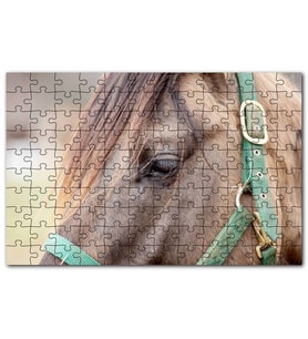 Cakapuzzle Yeşil Koşumlu Kahverengi At Yakın Çekim Puzzle Yapboz MDF (Ahşap) (120 Parça)