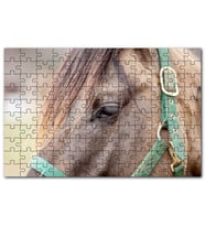Cakapuzzle Yeşil Koşumlu Kahverengi At Yakın Çekim Puzzle Yapboz MDF (Ahşap) (120 Parça)