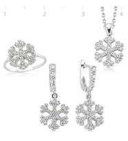 Gümüş Kar Tanesi Bayan Set