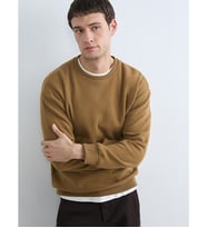 LCW Vision Kahverengi Bisiklet Yaka Erkek Sweatshirt
