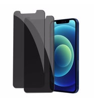 Apple iPhone 12 Pro Max Full-Screen Privacy Görünmez Mat  Hayalet Ekran Koruyucu Cam (Renksiz)