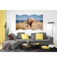KÖPEK MDF TABLO-2639 MODEL-B