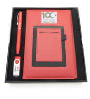 Yüzüncü Yıl (100. Yıl) Özel Set - Kalem + Kanguru Defter Usb Bellek Set - İsme Özel (Karışık)