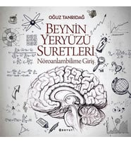 Beynin Yeryüzü Suretleri: Nöroanlambilime Giriş (Krem)