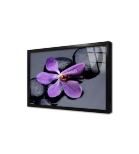 Spa Taşları ve Orkide Çerçeveli Cam Tablo