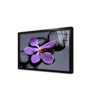 Spa Taşları ve Orkide Çerçeveli Cam Tablo