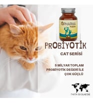 Organik Probiyotik Kedileriniz Hastalanmaya Son çok güçlü 7,5 milyar gerçek yararlı bakteri RAKİPSİZ