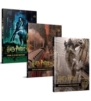 Harry Potter Film Dehlizi Serisi 3 Takım ( Karton Kapak)