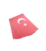 Vatan Büyük İpli Bayrak VT810