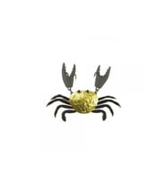 Japanese Yengeç Crab HG2564