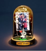 Sizlere Özel Led Lambalı Fanus - Kişiye Özel Fotoğraflı ve İsimli Tasarım - Biblolu (Model 8)