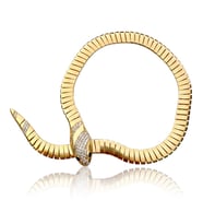 Orvessa Snake