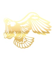 Kartal Sticker17x17 Cm Gold