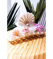 Monalisa Home 10 cm Lüks Gösterişli Renkli Kıstırma Toka