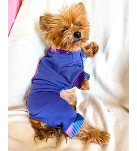 Monogram Purp Köpek Tulum Pijama (Mor)