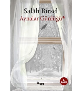 Aynalar Günlüğü