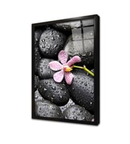 Spa Taşları ve Orkide Çerçeveli Cam Tablo