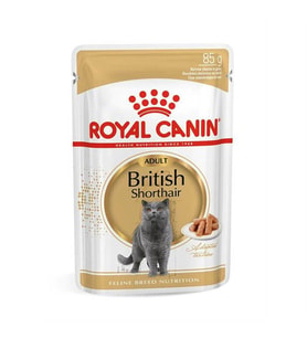 Royal Canin British Shorthair Kedi Konservesi 85 gr