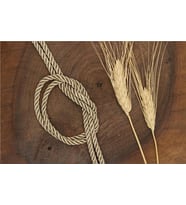 Kordon 5 mm - 30 mt Vizon