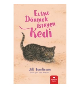 Evine Dönmek İsteyen Kedi