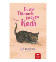 Evine Dönmek İsteyen Kedi