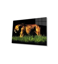 Aslan Cam Tablo 4mm Dayanıklı Temperli Cam (Çok Renkli)