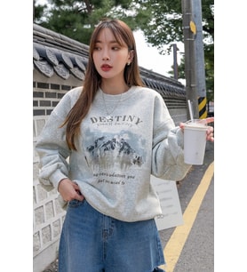 Destiny Baskılı Oversize Sweatshirt (Gri)