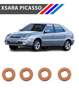 Xsara Picasso Diesel 4 Tırnak Enjektör Pulu 4 Adetli Set