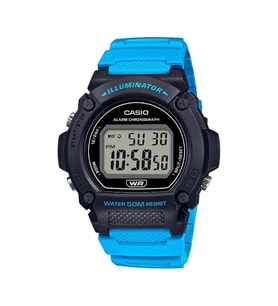 CASIO W-219H-2A2VDF ERKEK KOL SAATİ