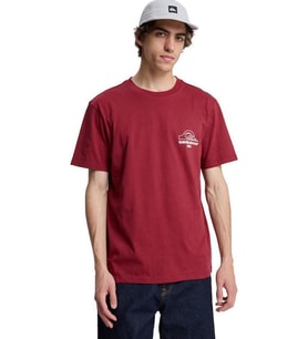 Quiksilver Bliss Erkek Tişört