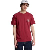 Quiksilver Bliss Erkek Tişört