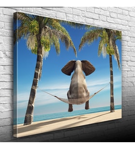 Hamaktaki Fil Kanvas Tablo 50 x 70
