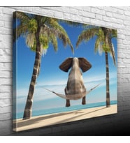 Hamaktaki Fil Kanvas Tablo 50 x 70